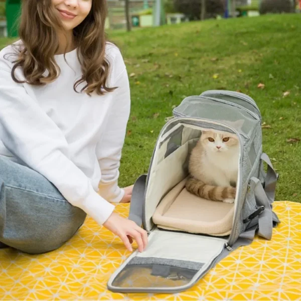 Pet Outdoor Portable Cat Bag with High Appearance Small Teddy Dog Travel Bag Lightweight Handbag Cat Bags Large Capacity Bag - Image 4