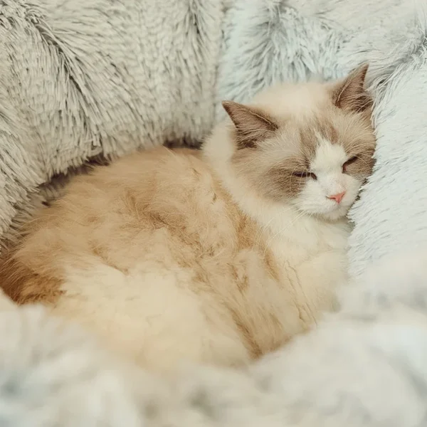 2 In 1 Round Cat Beds Long Plush Soft Foldable Cat Tunnel Toy Dog Bed For Small Dogs Basket Kittens Bed Mat Kennel Deep Sleep - Image 3